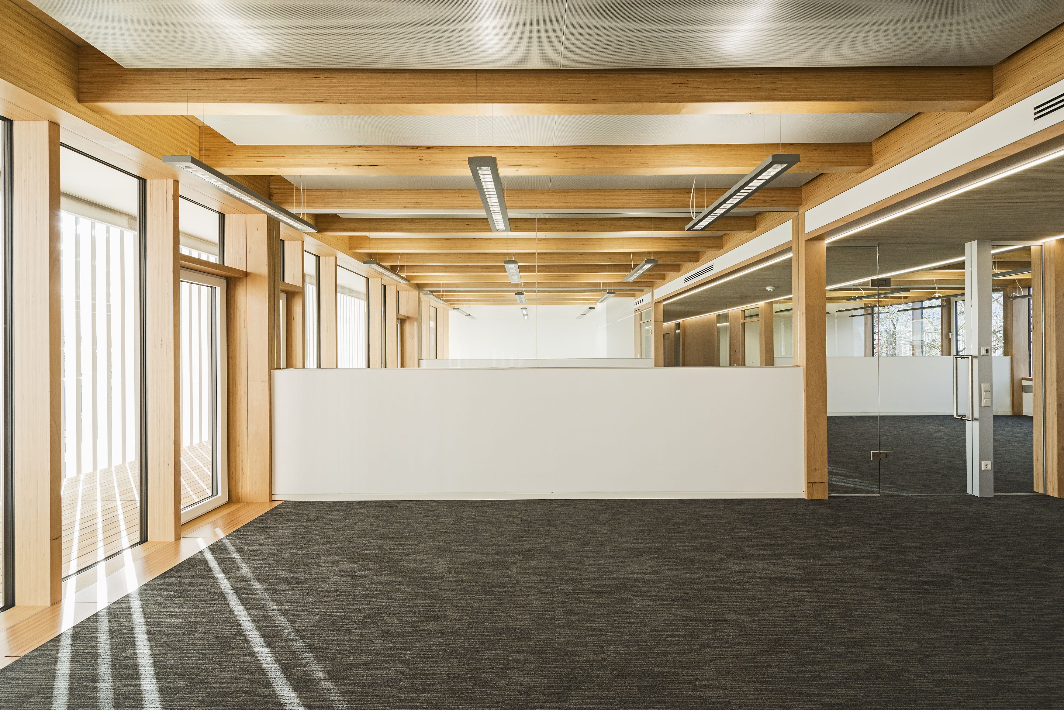 Großes helle Büroanlage mit viel verbautem Laubholz und Glaselementen (Foto: Lattke Architekten/Eckhart Matthäus)